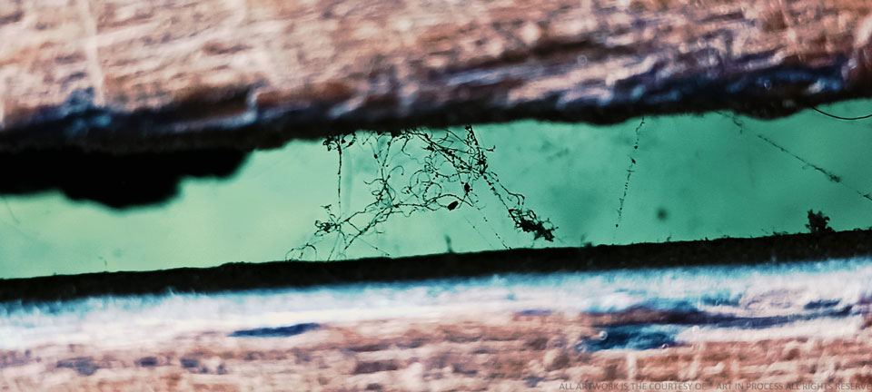 REMAINS UNSEEN